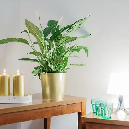 Hotel Promenada Zegrze *