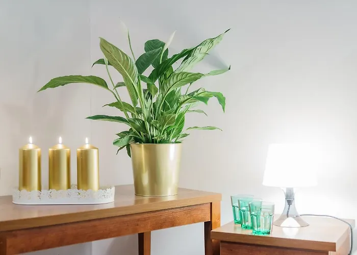 Hotel Promenada Zegrze *